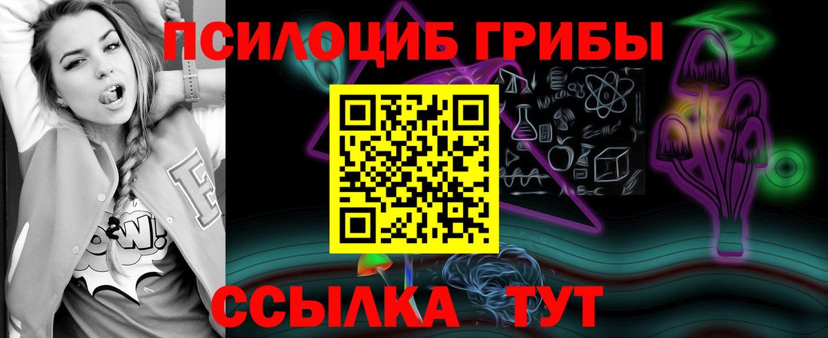 Галлюциногенные грибы Cubensis  Вход с VPN  Омск 
